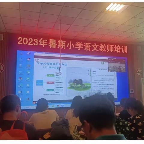 胜日寻芳 无边光景———栖霞市桃村铁口小学语文教师参加暑期“大单元教学”教研活动