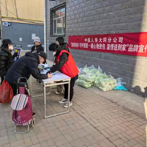 暖冬送白菜温情入民心