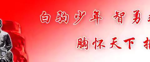 海南白驹学校2023-2024学年度校园足球活动简报