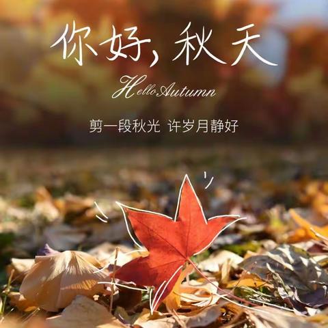 【碧水蓝天项目部】10 月份 简报                                 心中有秋🍁服务为先🌸