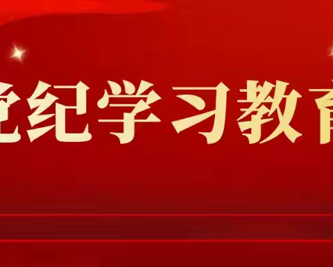 儋州市白马井实验小学党支部书记上纪律党课