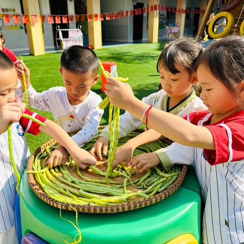 “秋日童话，晒出幸福”——登龙桥幼儿园大三班晒秋活动