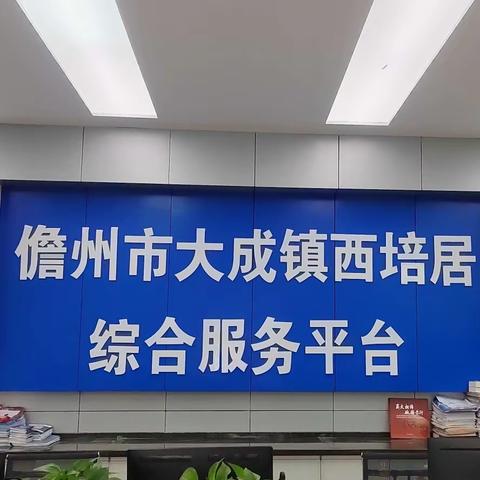 西培居开展“迎新春卫生大扫除”活动