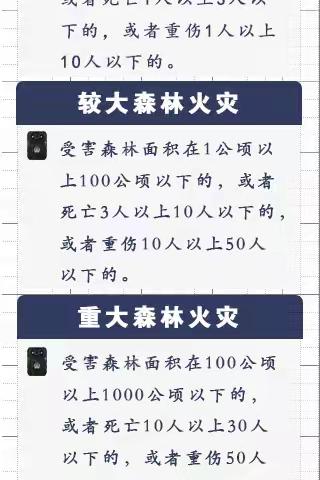 【图解】森林火灾罪与罚！2张海报告诉你