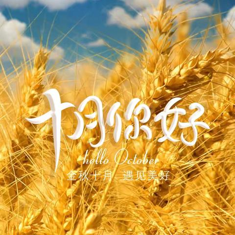 昆明嘉家物业管理有限公司姚安府小区10月物业工作简报