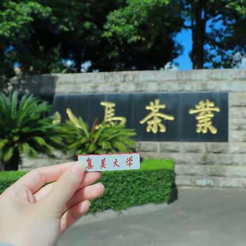 着眼八马茶业，统筹三茶文化