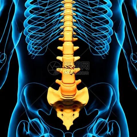 快速了解腰椎骨折