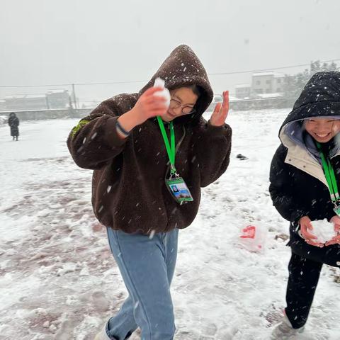 “庭前雪压松桂丛，廊下点点悬纱笼”——写在雪花飘落的校园里