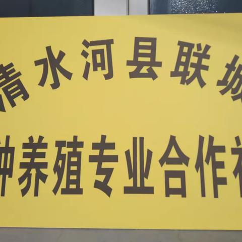 窑沟乡不灿洼村委会[联城种养殖专业合作社正式挂牌运营