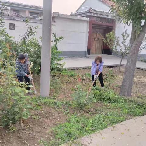 姜家村清理绿化带杂草