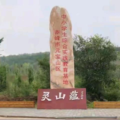 绿树浓荫夏意长 研学筑梦向未来 ——元宝山区向阳小学六年级综合实践活动