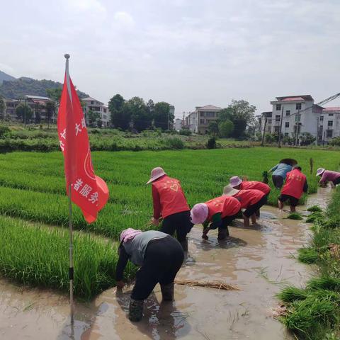 “开锄迎春，播种希望”