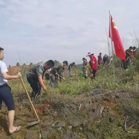 春回大地万物苏，植树添绿正当时。