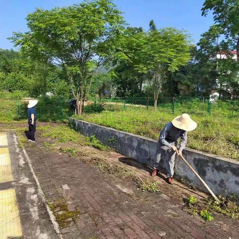 要想心情好，环境先搞好