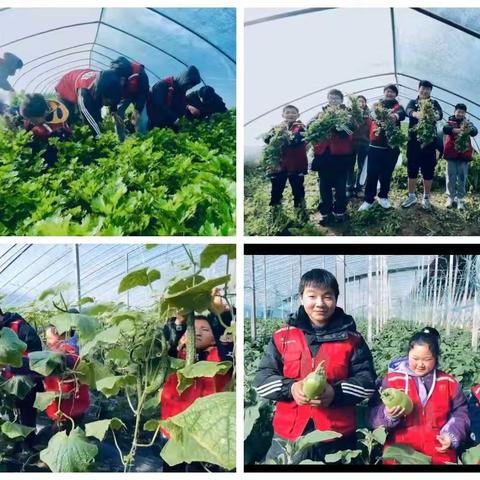 元旦佳节，蔡集镇田洼村开展“童心助农 欢度元旦”