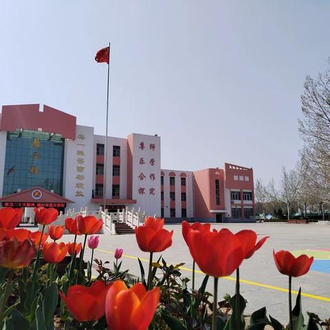 滨城区第四中学第三届文化节系列： 《诗画校园》之“遇见春天”