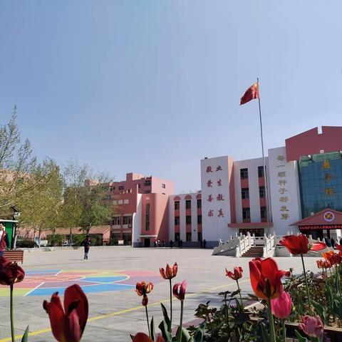 种子厚植的沃土，蓓蕾绽放的春天—滨城区第四中学图书馆工作系列