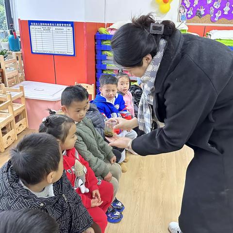 爱丁堡华英幼儿园小一班教学回顾