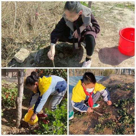 双减”护航 创意作业点亮五一假期——记侯集实验小学五一假期优秀作业展示活动