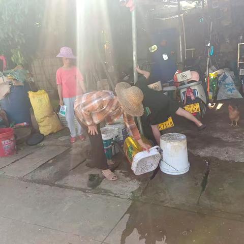 大文村委会开展蚊媒传染病防控人居环卫生整治活动