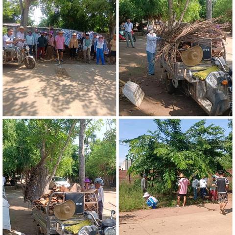 大文村委会开展基孔肯雅热与登革热联合防控专项行动