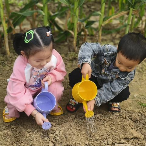 探秘花生—儋州市东成镇第二幼儿园中（1）班班本课程活动