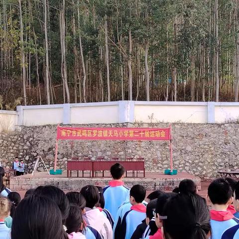 青春逐梦，绿茵飞扬——记武鸣区罗波镇天马小学运动会