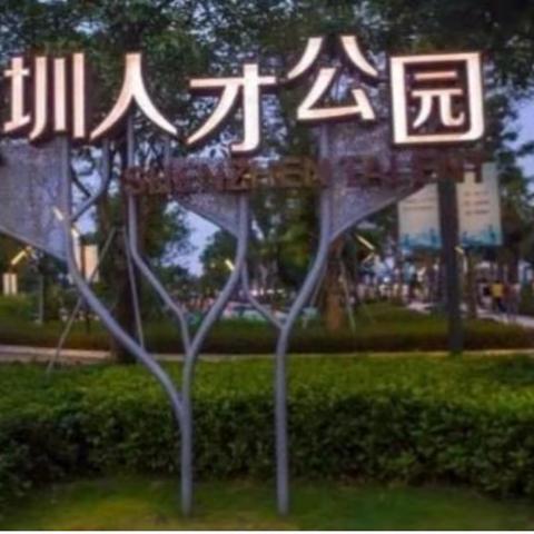 城市山林艺术团漫步深圳人才公园：一场自然与城市的诗意对话