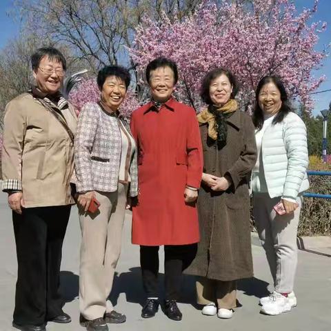 姐妹们在变老的路上相互搀扶，一路向前