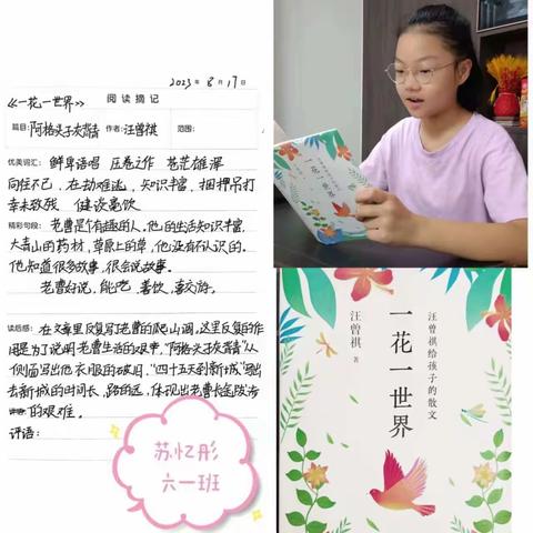 【区八小】“书香阅读，阅读悦快乐”——六年级暑期读书活动（学生篇）