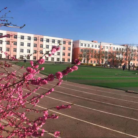 羊山实验中学五一假期致全体学生家长一封信