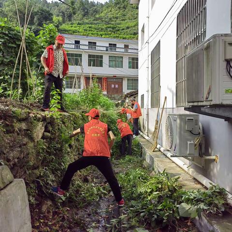 沈坝镇干部在炎炎夏日，放弃中午休息时间进行人居环境整治工作