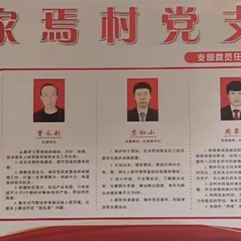 王家焉党支部“根植人民，奋进前行”主题党日活动