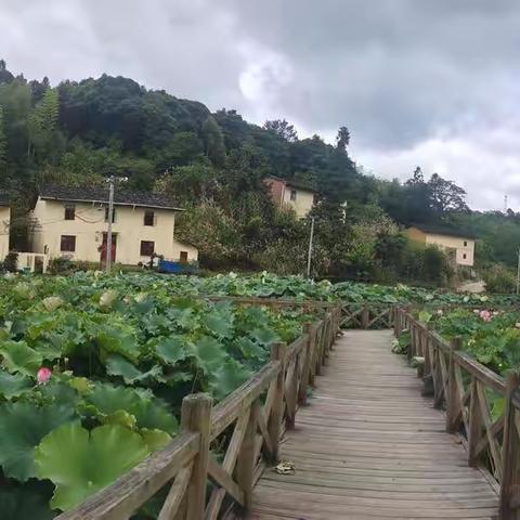 夏日游高岗    开心又欢畅（副本）