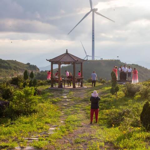 夏日游高岗    开心又欢畅