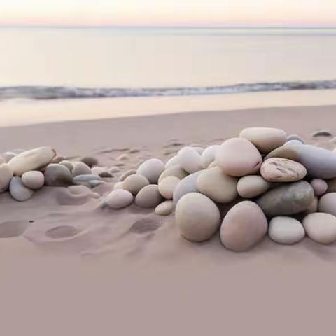 【讲文明树新风】争做垃圾分类行动者，践行垃圾分类新时尚