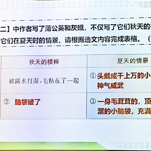 七月九日 二升三阅读素养训练