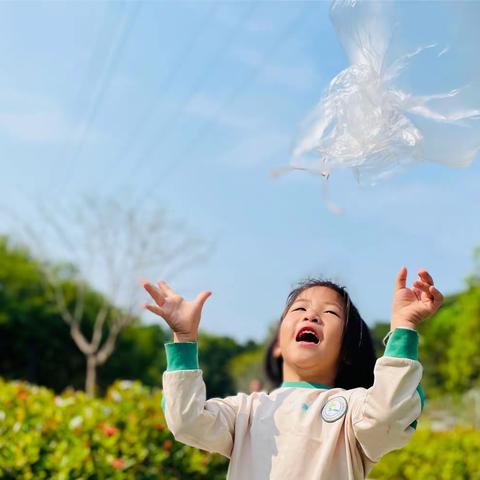 等风来，不如追风去🌬️