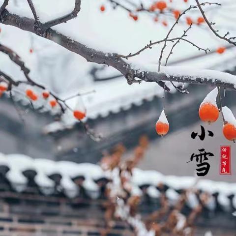 【全环境立德树人】“小雪到，冬始俏” —小雪节气