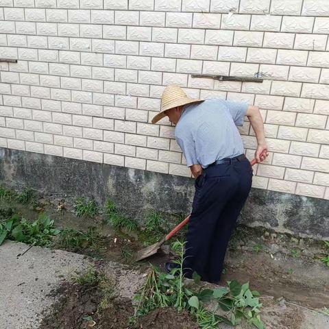 人居环境整治大清理，党员干部我带头