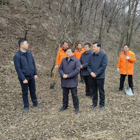 师虎开展巡林并检查森林防火工作