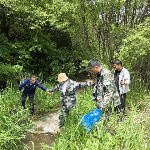 旬邑：深山寻影，野生动物 轮番“打卡”林间