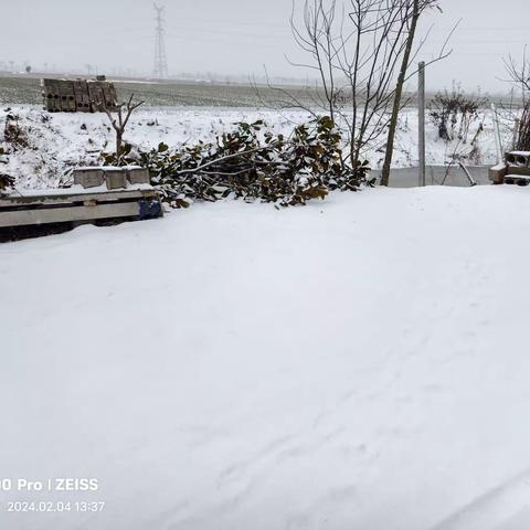 这突如其来的大雪让这个冬天更加美好