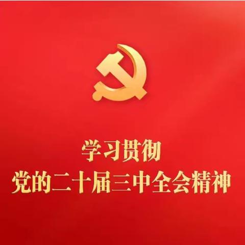 学习贯彻党的二十届三中全会精神