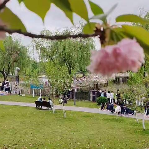 项目叙事——四年级湿地公园踏青寻春游