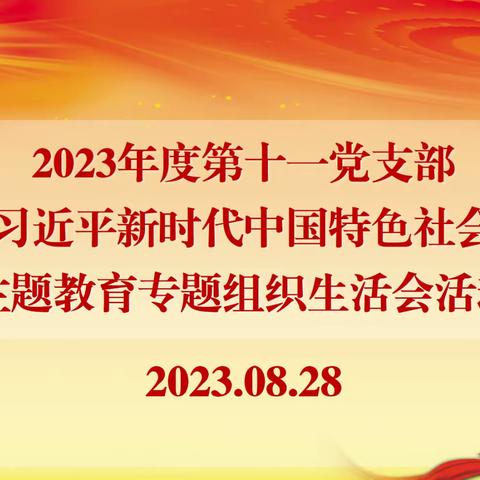 第十一支部召开主题教育专题组织生活会