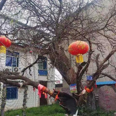 新兴镇卫生院的一天