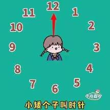【快乐暑假】金幼大班第三期