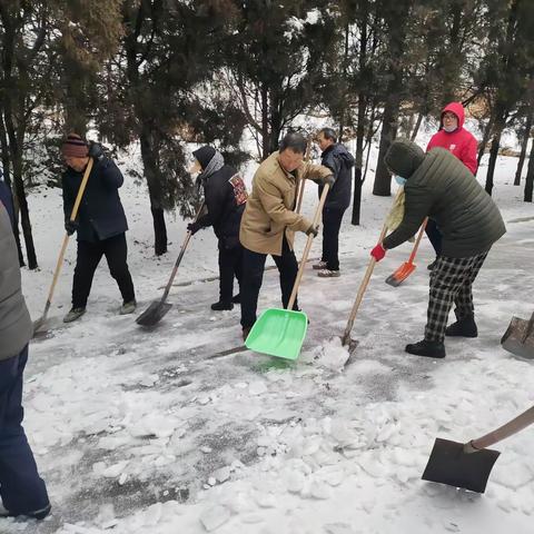 石家庄村东庄自然庄铲雪除冰活动纪实