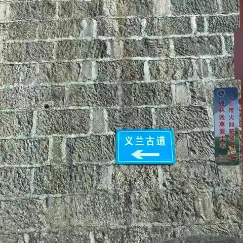 生态修复科实地走访义兰古道